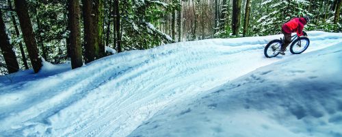 The image is of a person in a red jacket, fat tire biking in the snow-covered path. Surrounding this white snow path is beautiful forest green trees covered in heavy snow.